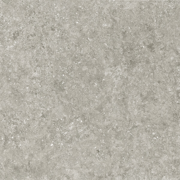 BLUE STONE GRIS NATURAL 100X100