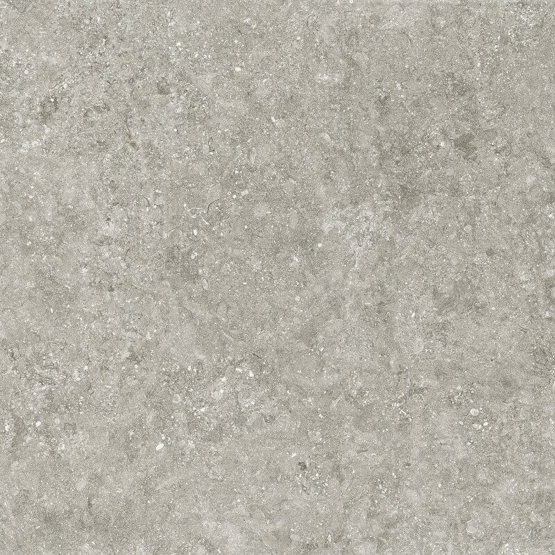 BLUE STONE GRIS NATURAL 100X100