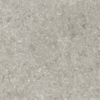 BLUE STONE GRIS NATURAL 100X100