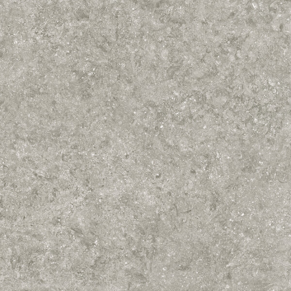 BLUE STONE GRIS NATURAL 100X300