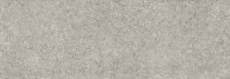 BLUE STONE GRIS NATURAL 100X300