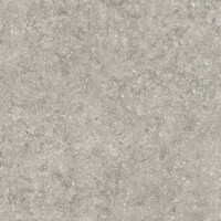 BLUE STONE GRIS NATURAL 100X300