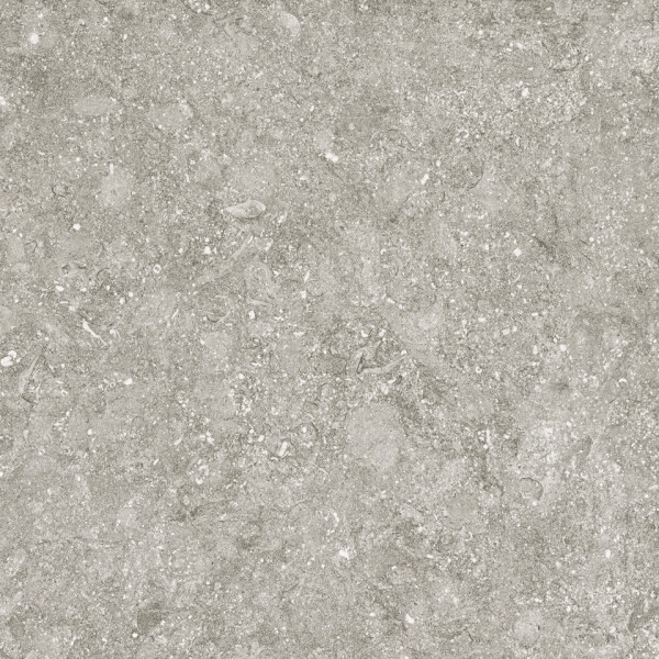 BLUE STONE GRIS NATURAL 50X100