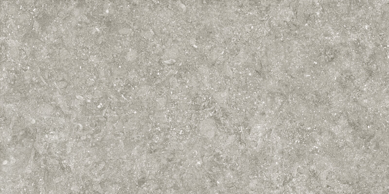 BLUE STONE GRIS NATURAL 50X100