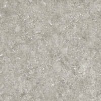 BLUE STONE GRIS NATURAL 50X100