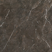 BRECCIA IMPERIALE  NATURAL 120X120
