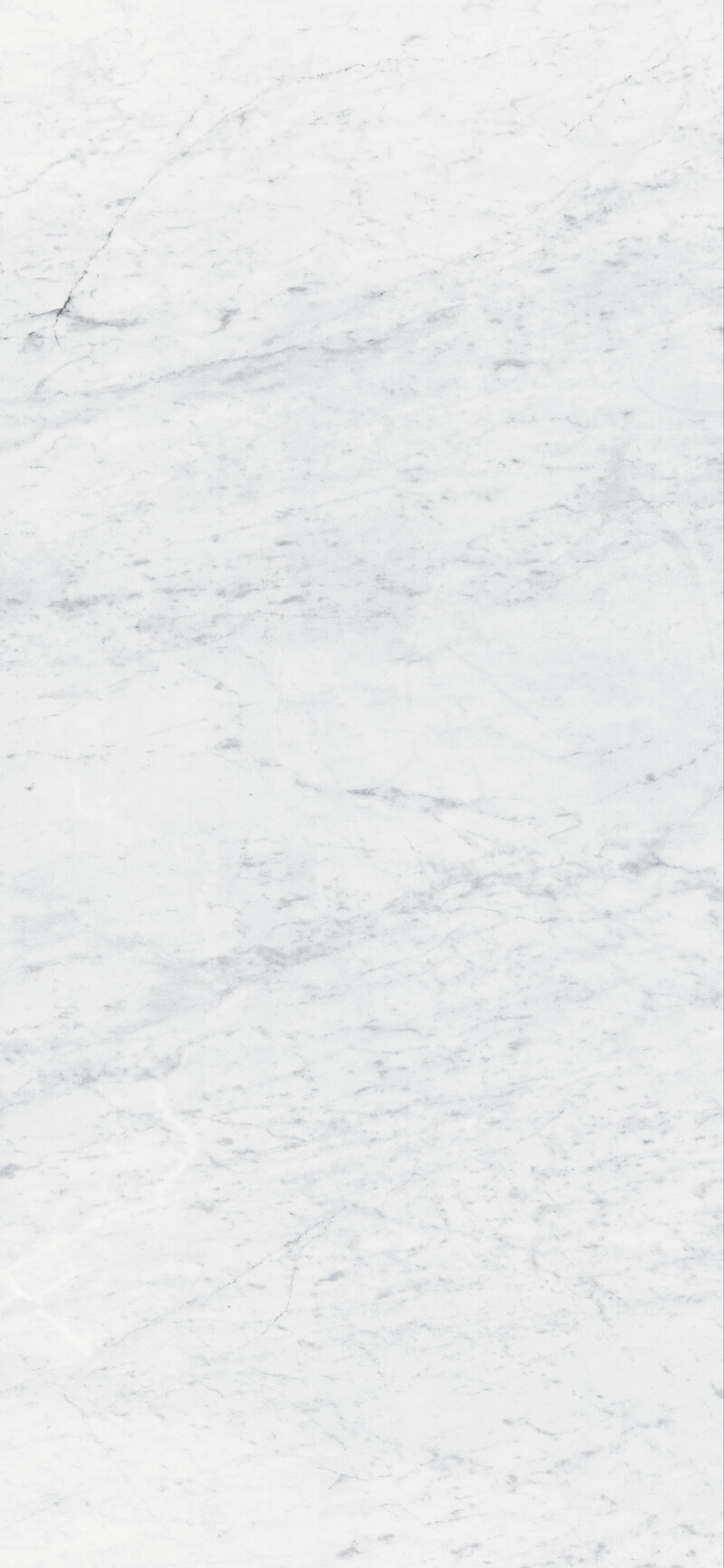 CARRARA  PULIDO 120X260