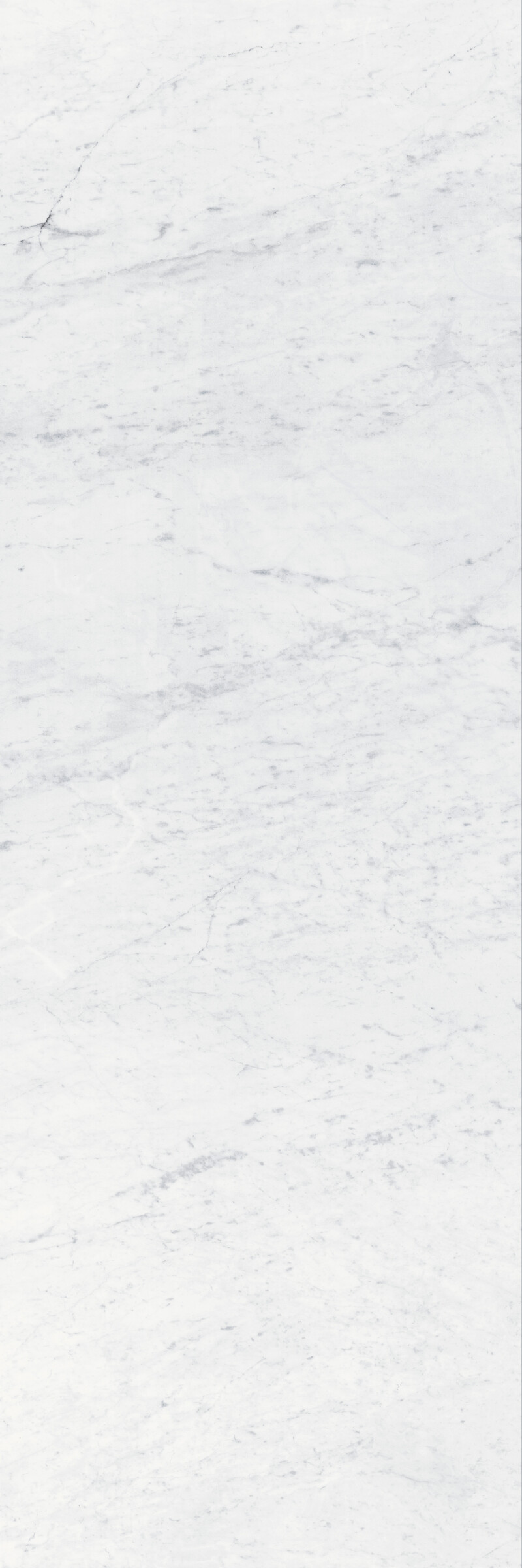 CARRARA  PULIDO 120X360