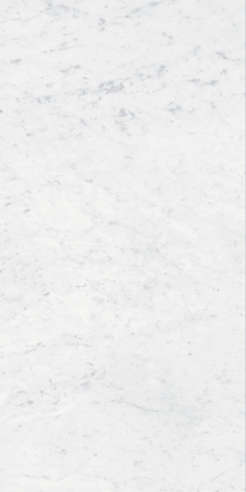CARRARA  PULIDO 60X120