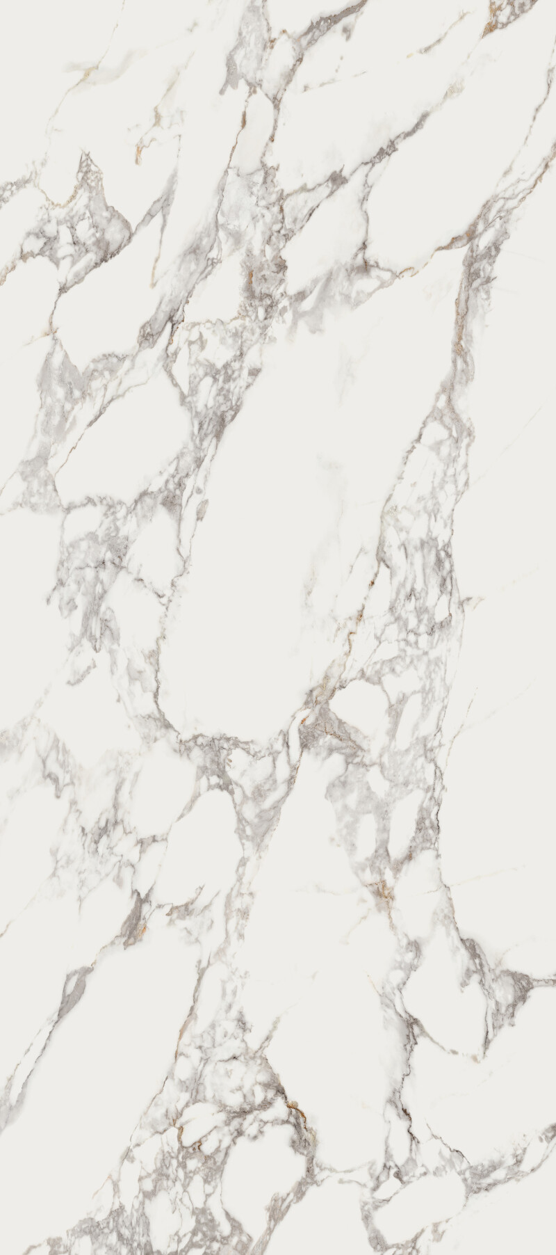 CALACATA VAGLIE  SEDA 120X278