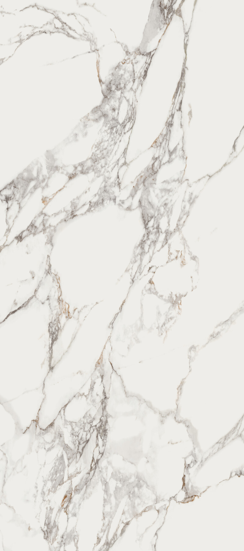 CALACATA VAGLIE  NATURAL 120X278