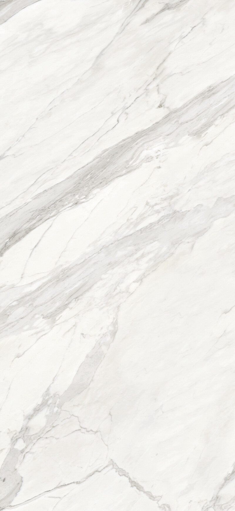 CALACATA MIX  NATURAL 120X260
