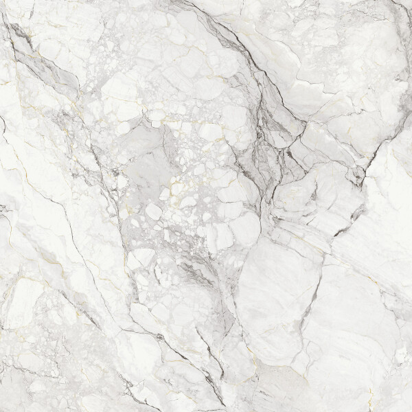CAMOUFLAGE BOOK B  NATURAL 162X324