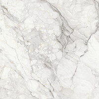 CAMOUFLAGE BOOK B  NATURAL 162X324