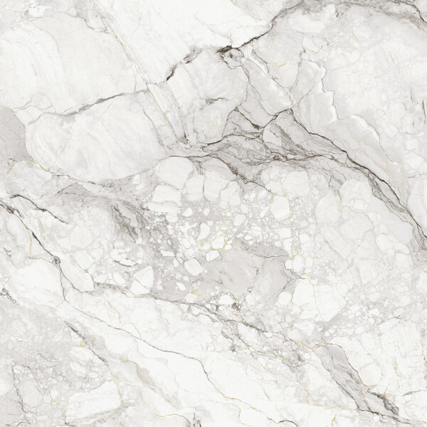 CAMOUFLAGE  NATURAL 120X278