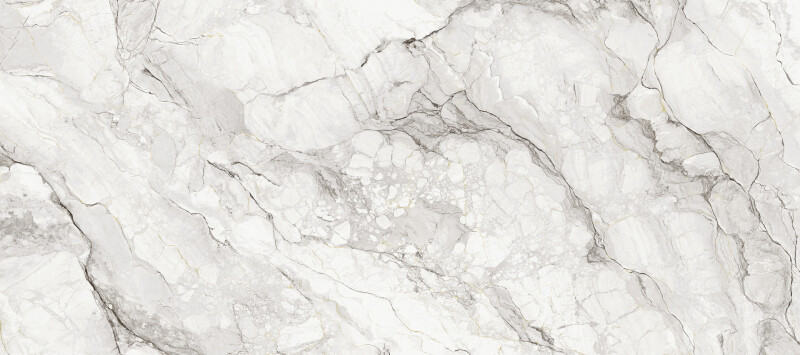 CAMOUFLAGE  NATURAL 120X278