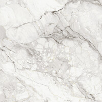 CAMOUFLAGE  NATURAL 120X278