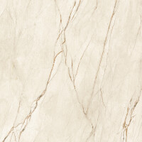 CANELA ROMA  NATURAL 120X120