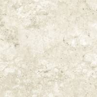 CAPITOLIO CROSS BONE NATURAL 30X60