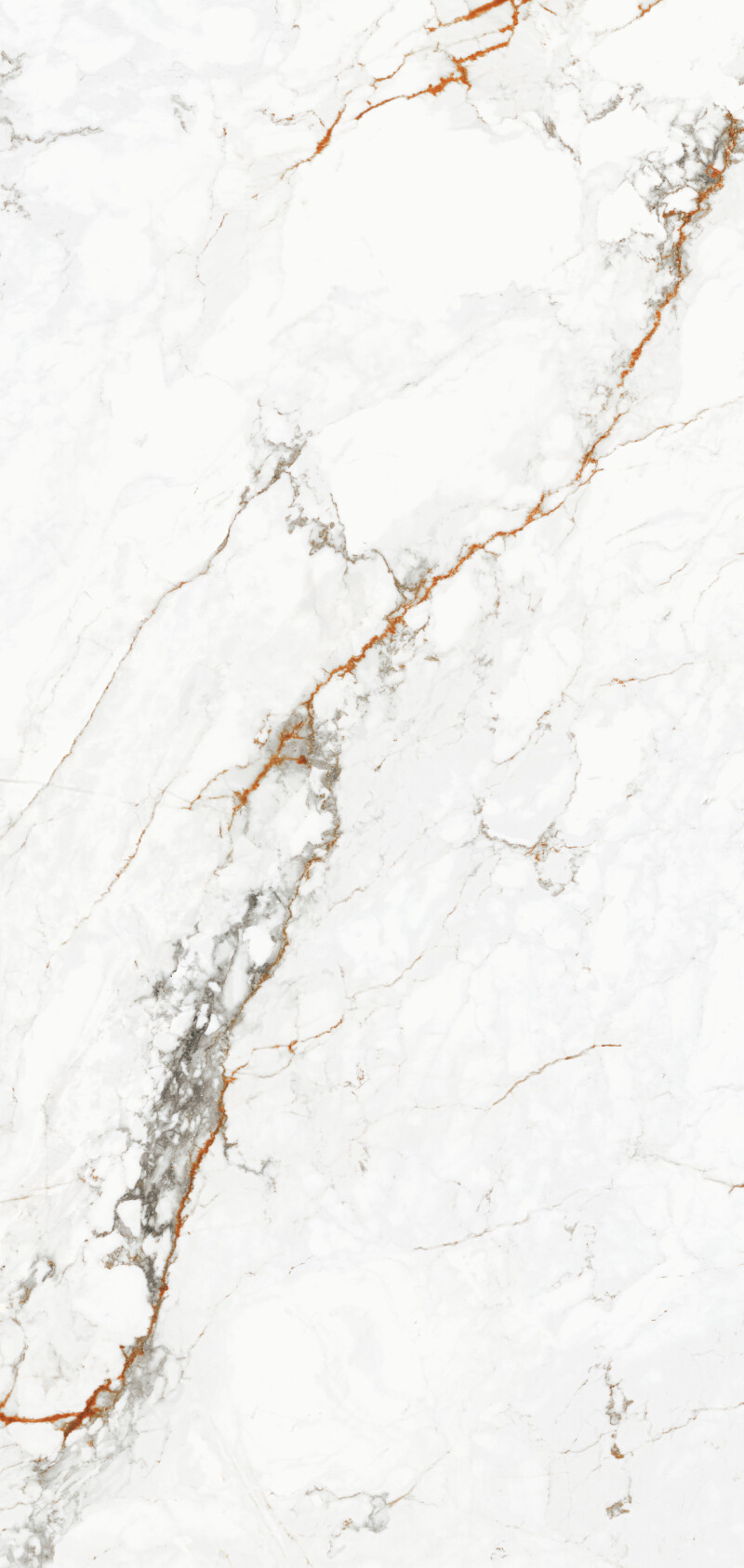 CAPRAIA  PULIDO 120X260