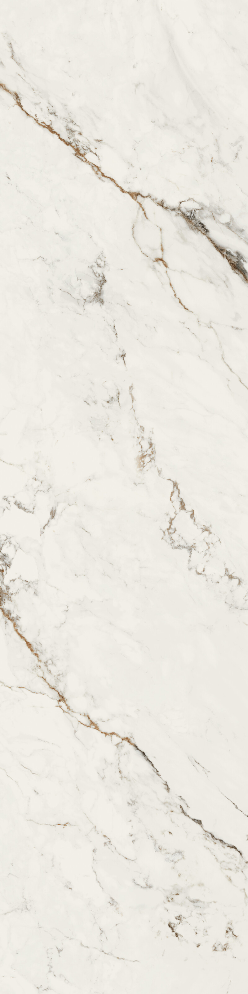 CAPRAIA  NATURAL 81X324