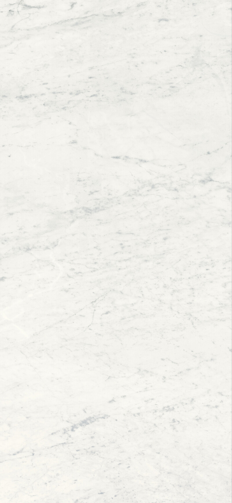 CARRARA  NATURAL 120X260