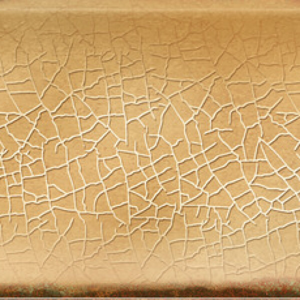 CARTUJA MOSTAZA NATURAL 5.5X45