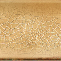CARTUJA MOSTAZA NATURAL 5.5X45