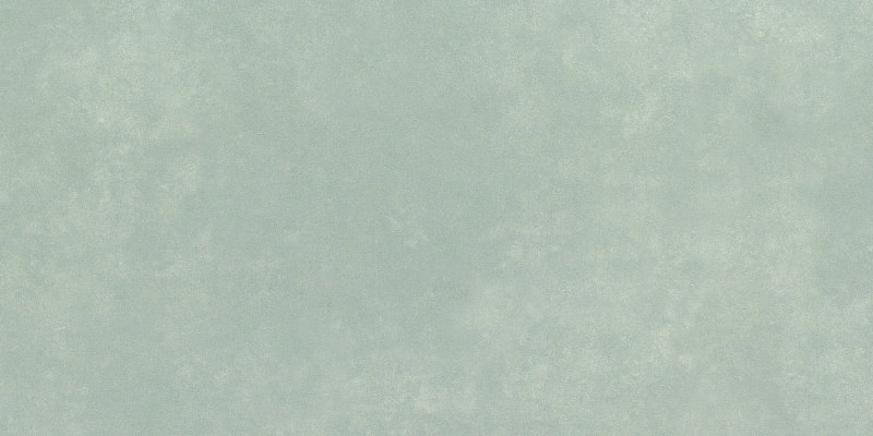 CONCRETE GRIS NATURAL 50X100