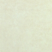 CONCRETE MARFIL NATURAL 50X100