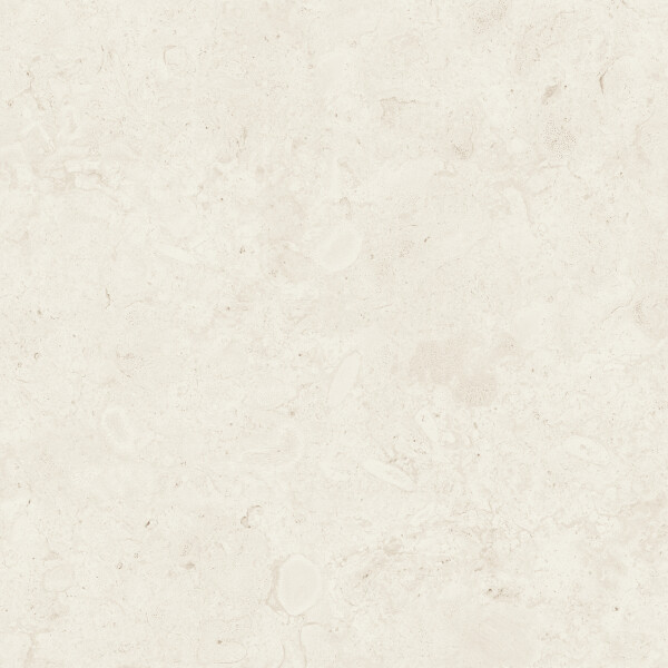 CORALINA BONE NATURAL 120X120
