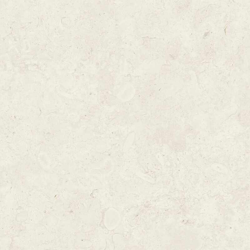 CORALINA BONE NATURAL 120X120