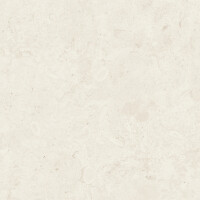 CORALINA BONE NATURAL 120X120