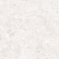 CORALINA PERLA NATURAL 120X120