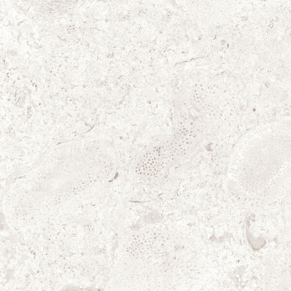 CORALINA PERLA NATURAL 30X60