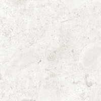 CORALINA PERLA NATURAL 30X60