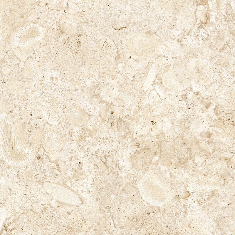 CORALINA BLANCO NATURAL 60X60