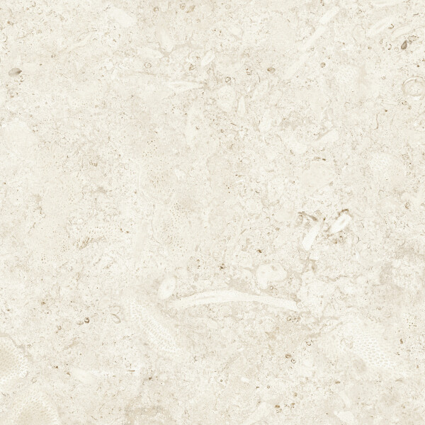 CORALINA BONE NATURAL 60X60
