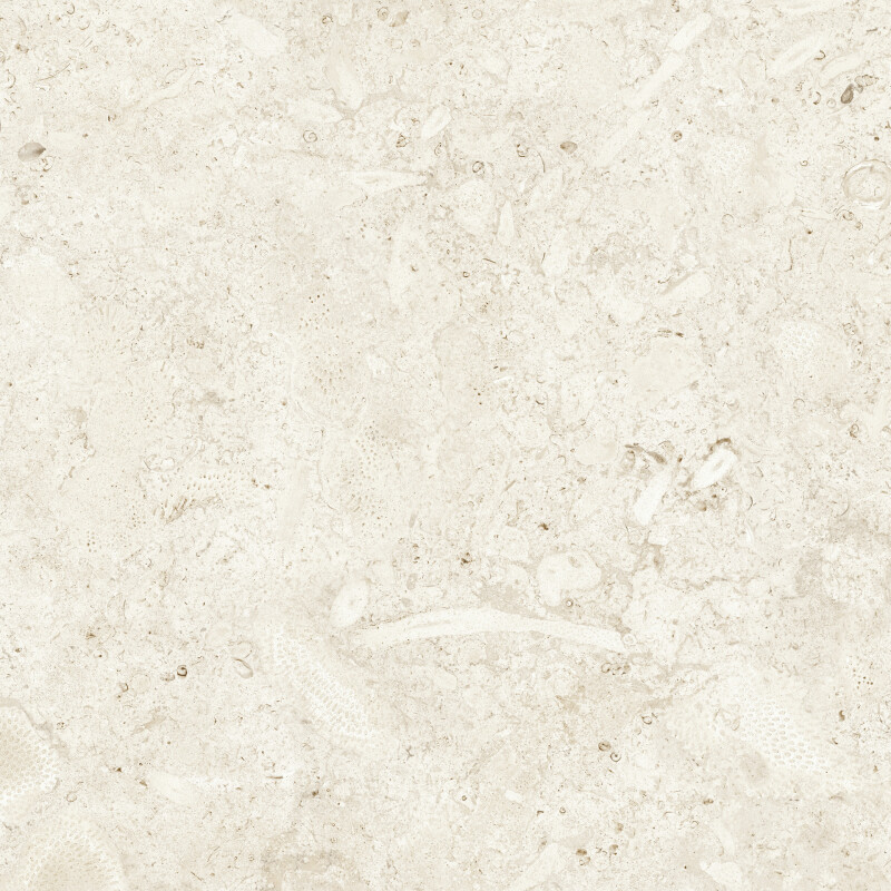 CORALINA BONE NATURAL 60X60