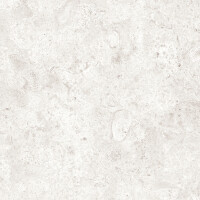 CORALINA PERLA NATURAL 60X60