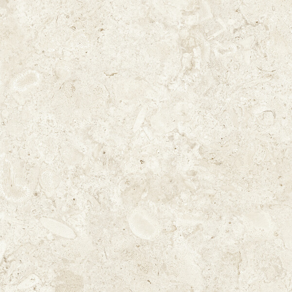 CORALINA BONE NATURAL 80X80
