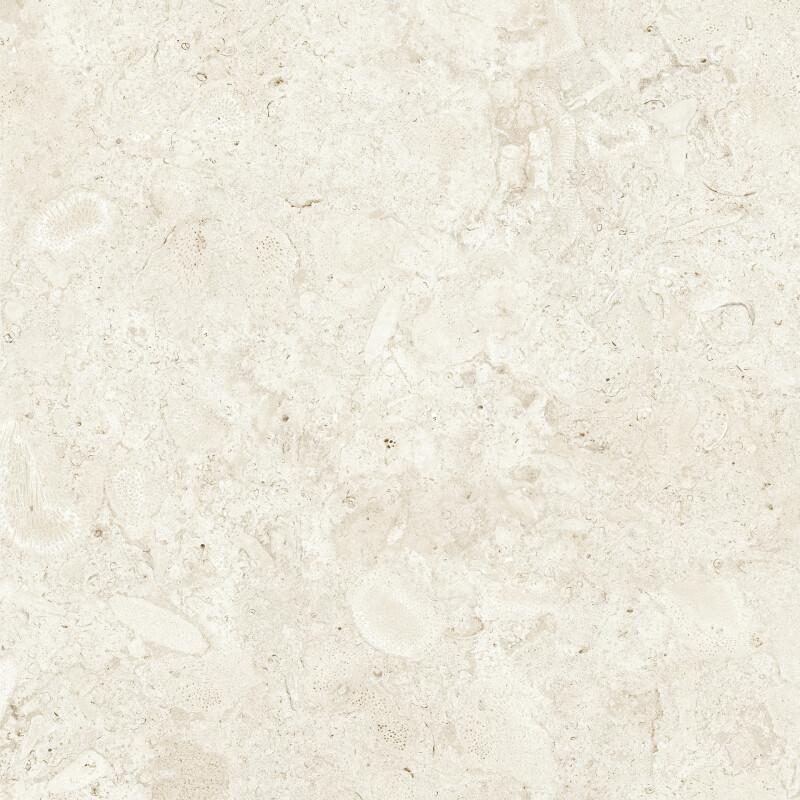 CORALINA BONE NATURAL 80X80