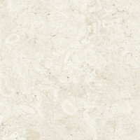 CORALINA BONE NATURAL 80X80