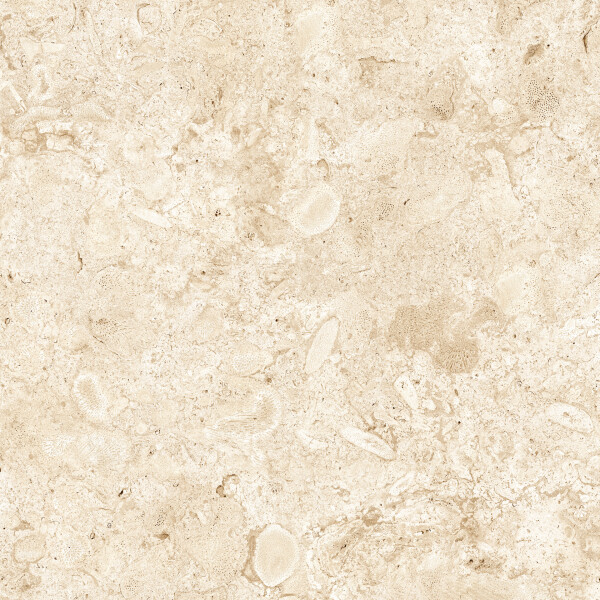 CORALINA BLANCO NATURAL 100X300
