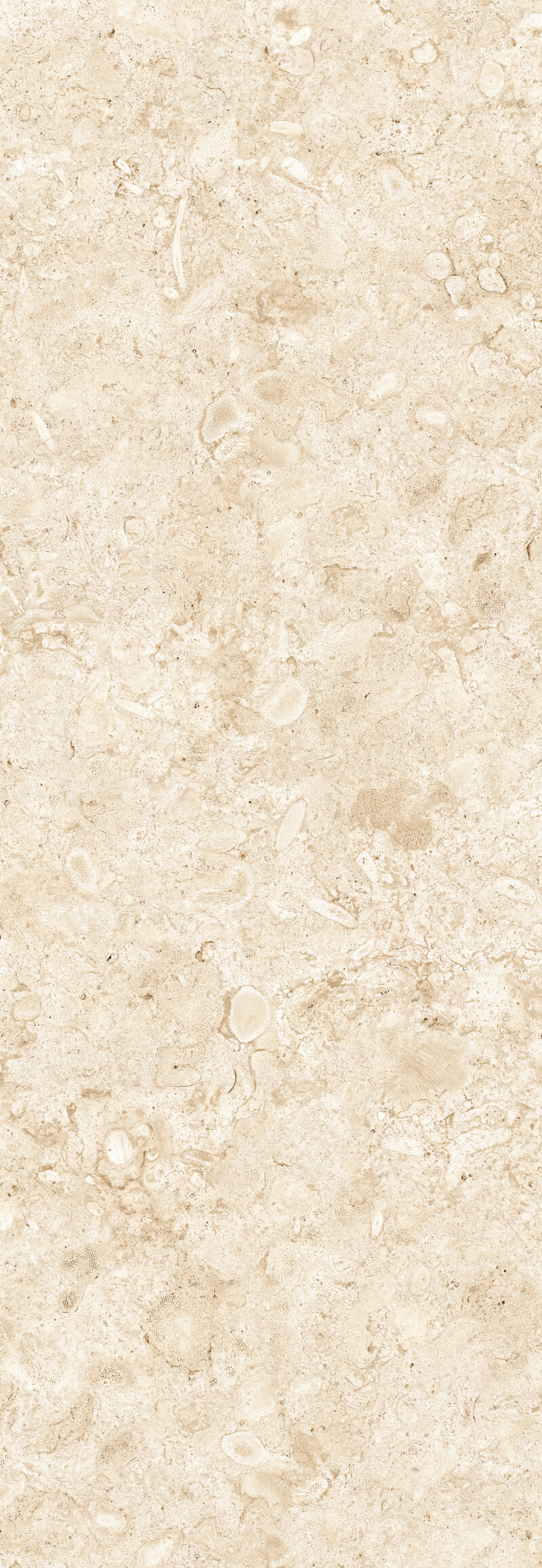 CORALINA BLANCO NATURAL 100X300
