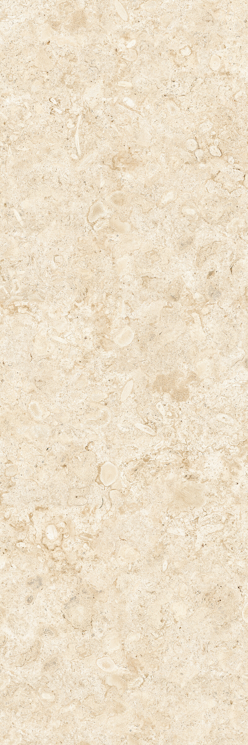 CORALINA BLANCO NATURAL 120X360
