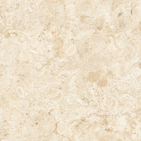 CORALINA BLANCO NATURAL 120X360