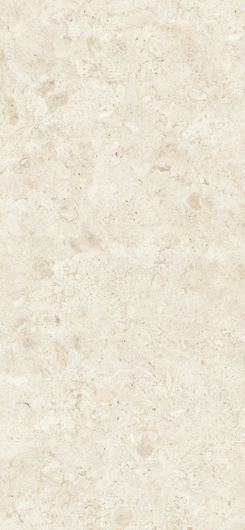 CORALINA BLANCO NATURAL 120X260