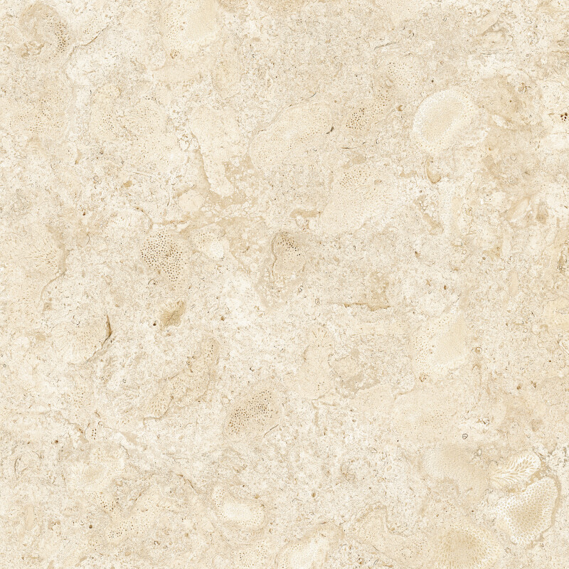 CORALINA BLANCO NATURAL 80X80