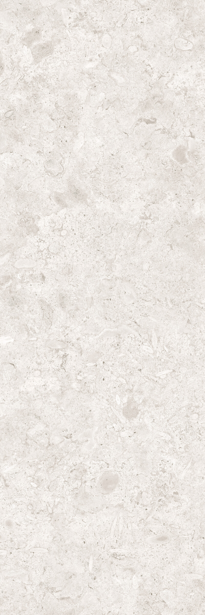 CORALINA PERLA NATURAL 100X300